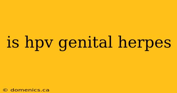 is hpv genital herpes