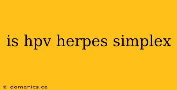 is hpv herpes simplex