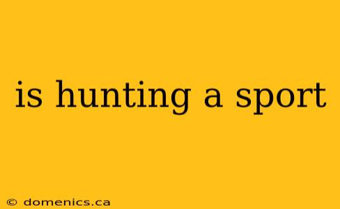 is hunting a sport