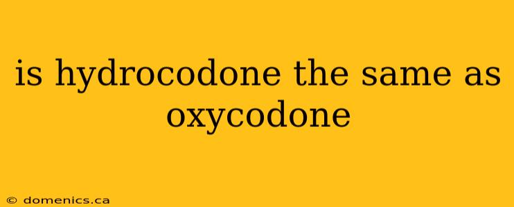 is hydrocodone the same as oxycodone