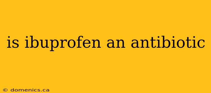 is ibuprofen an antibiotic