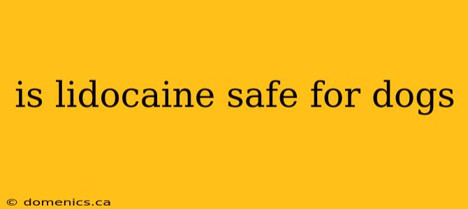 is lidocaine safe for dogs