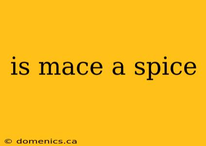 is mace a spice