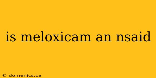 is meloxicam an nsaid