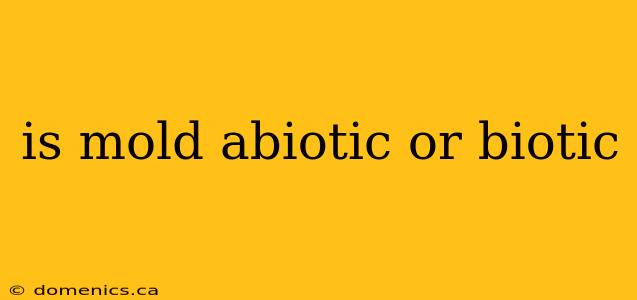 is mold abiotic or biotic