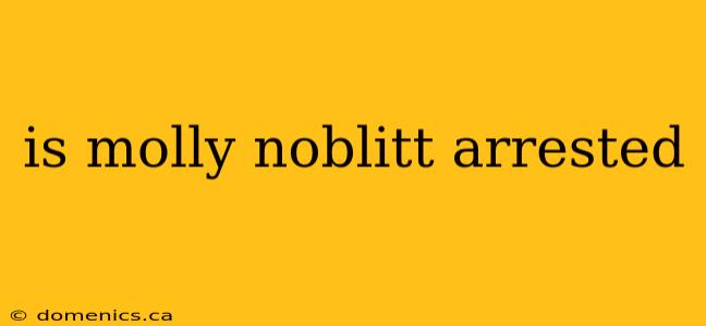 is molly noblitt arrested