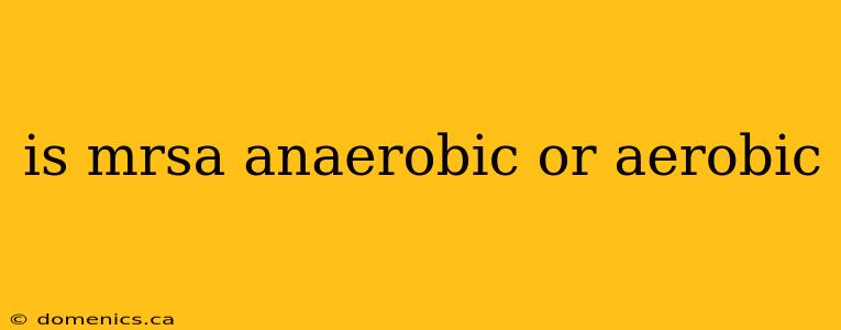 is mrsa anaerobic or aerobic