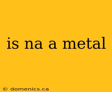 is na a metal