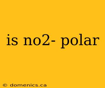 is no2- polar