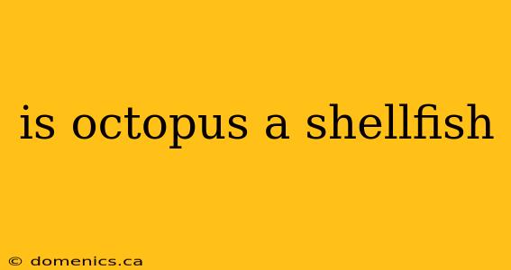 is octopus a shellfish