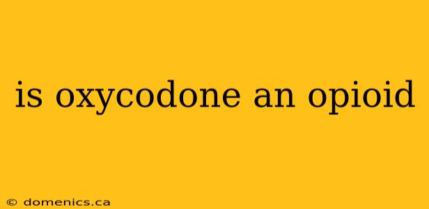 is oxycodone an opioid