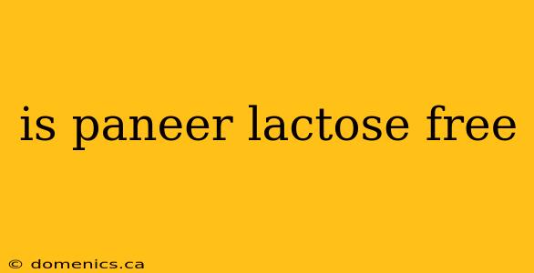 is paneer lactose free