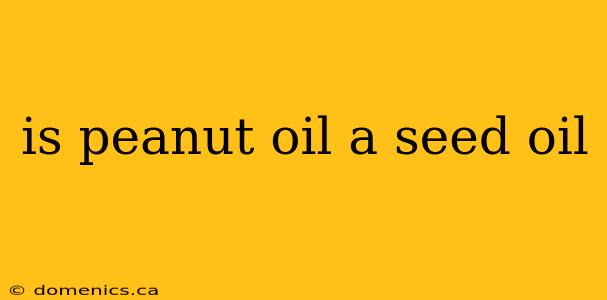 is peanut oil a seed oil