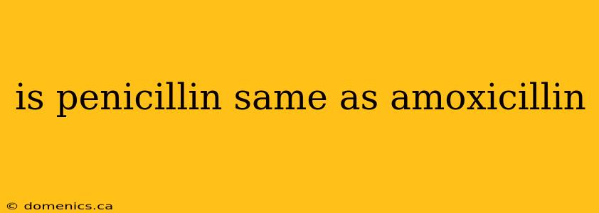 is penicillin same as amoxicillin