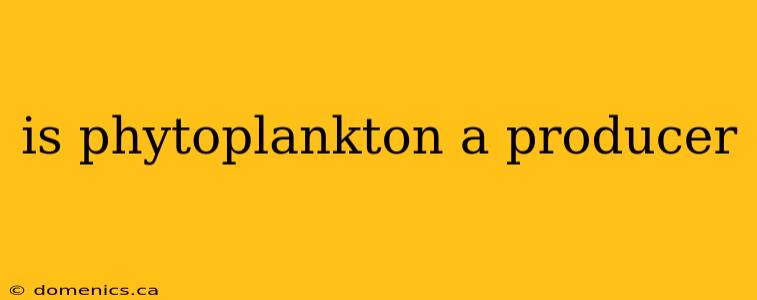 is phytoplankton a producer