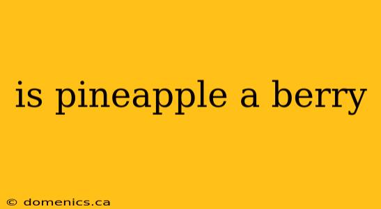 is pineapple a berry