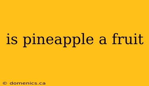 is pineapple a fruit