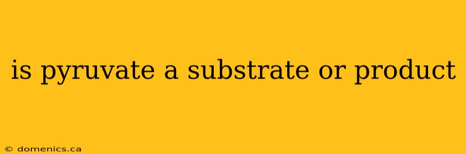 is pyruvate a substrate or product