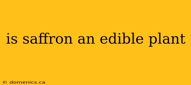 is saffron an edible plant