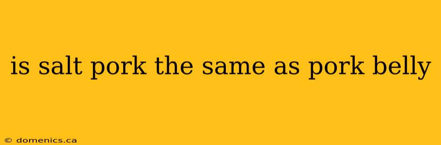 is salt pork the same as pork belly