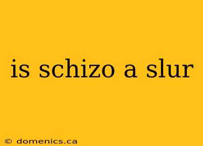 is schizo a slur