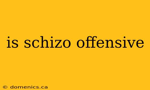 is schizo offensive