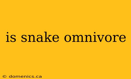 is snake omnivore