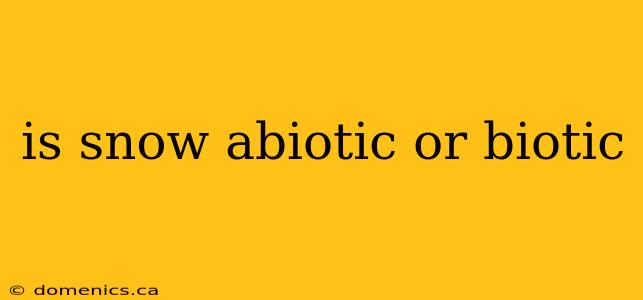 is snow abiotic or biotic
