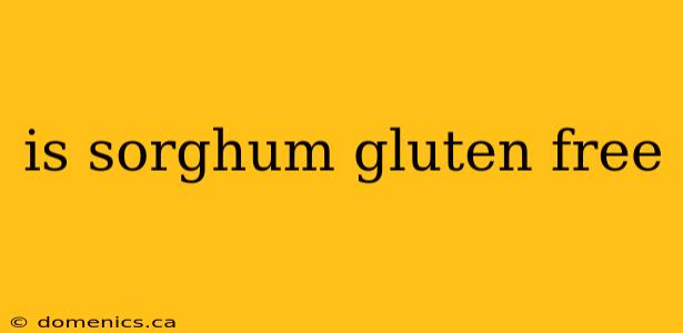 is sorghum gluten free