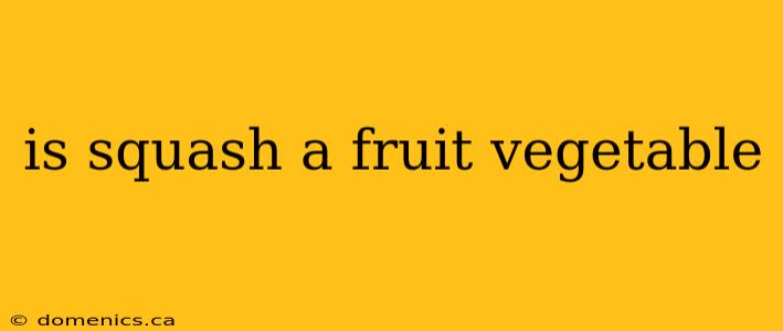 is squash a fruit vegetable