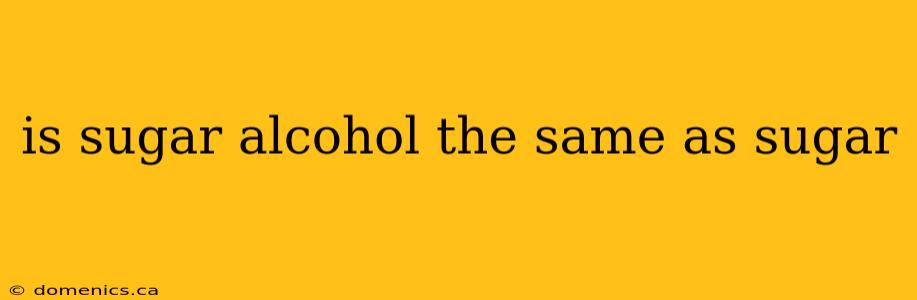 is sugar alcohol the same as sugar