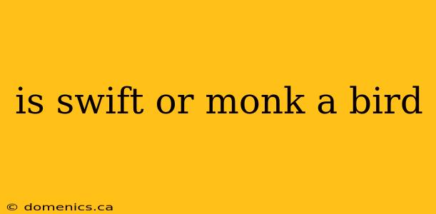 is swift or monk a bird