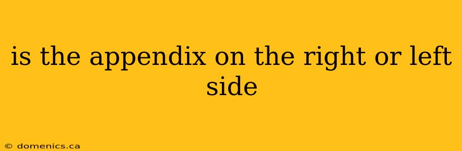 is the appendix on the right or left side