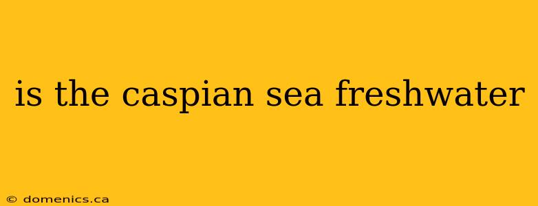 is the caspian sea freshwater