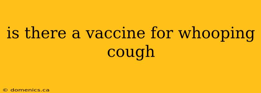 is there a vaccine for whooping cough