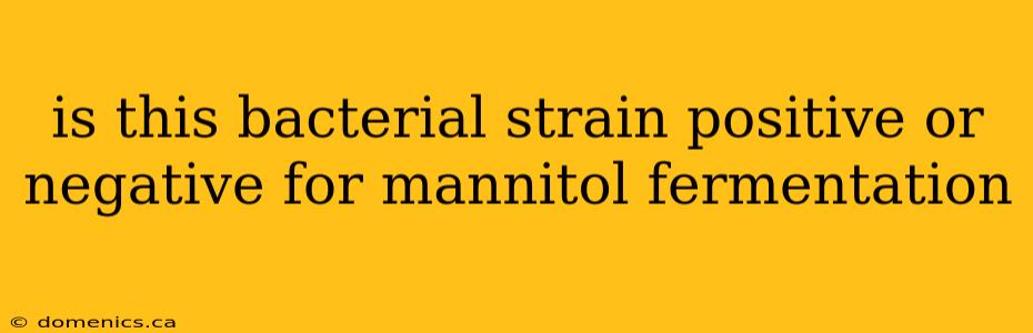 is this bacterial strain positive or negative for mannitol fermentation