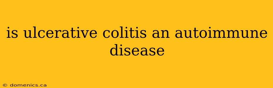 is ulcerative colitis an autoimmune disease