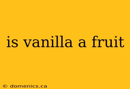 is vanilla a fruit