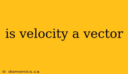 is velocity a vector