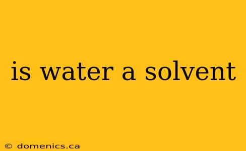 is water a solvent