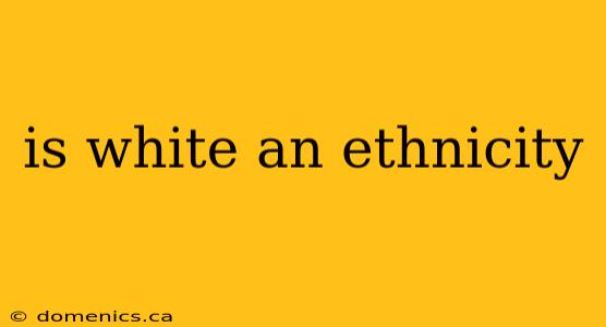 is white an ethnicity