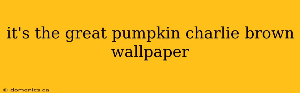 it's the great pumpkin charlie brown wallpaper