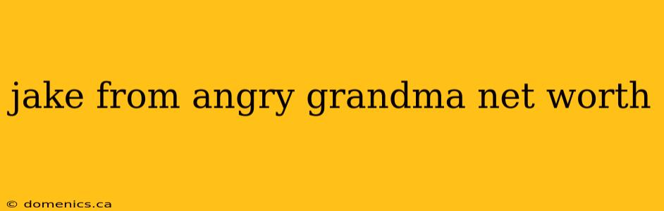 jake from angry grandma net worth