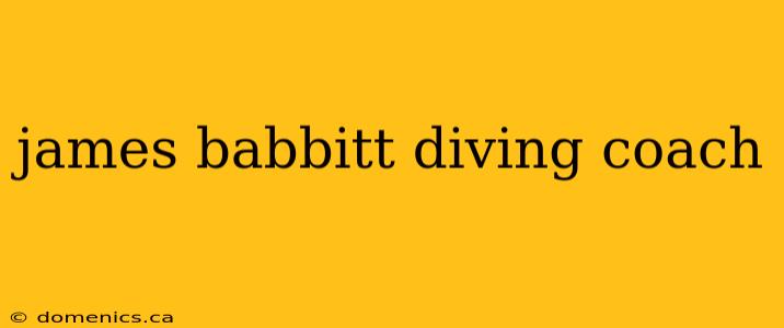 james babbitt diving coach