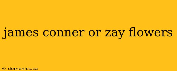 james conner or zay flowers