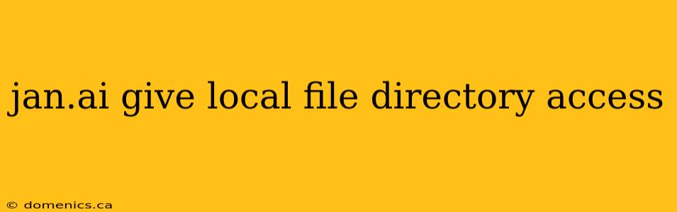 jan.ai give local file directory access