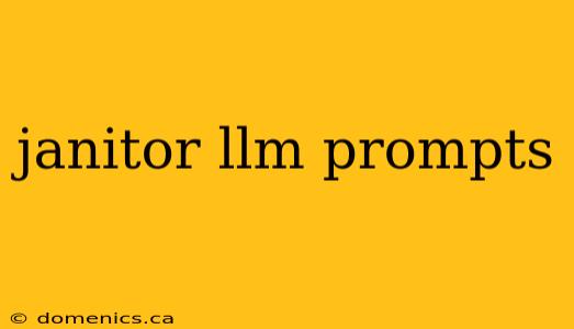 janitor llm prompts