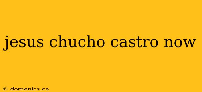 jesus chucho castro now