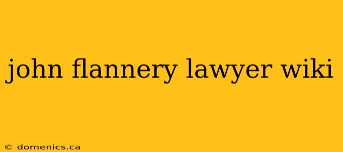 john flannery lawyer wiki