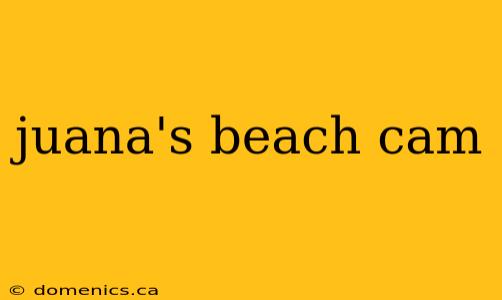 juana's beach cam